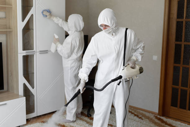 Best Mold Damage Repair  in Attica, MI